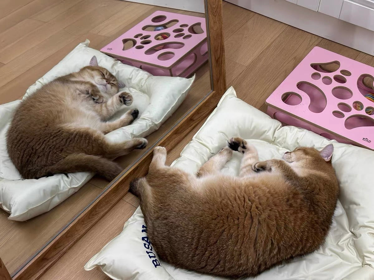 Korean Pet Cooling Mat, Iced pat
