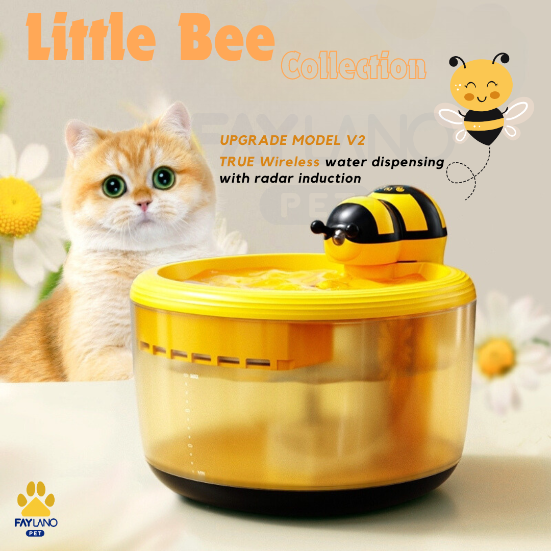 Little Bee