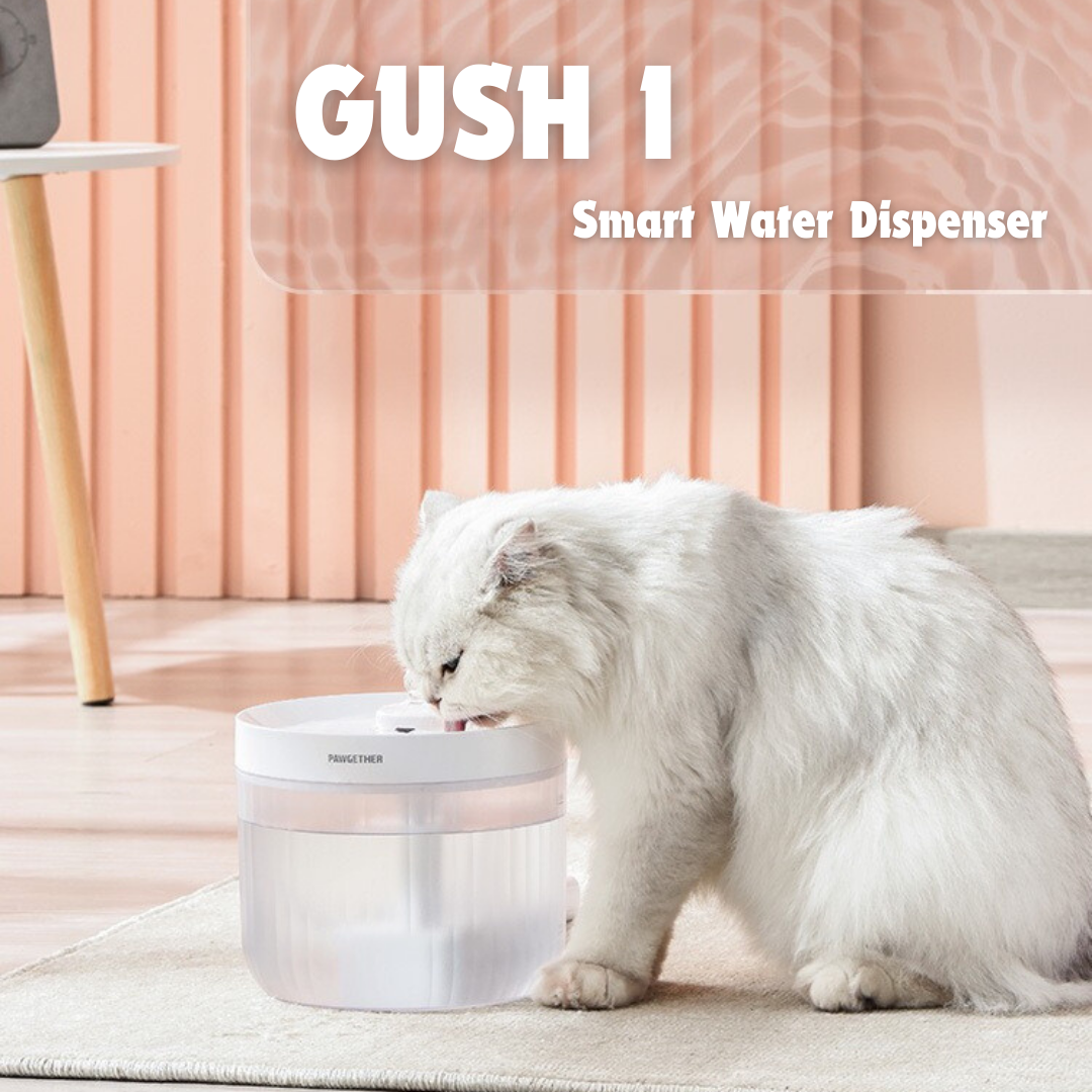 PAWGETHER Smart Water Dispenser-Gush 1