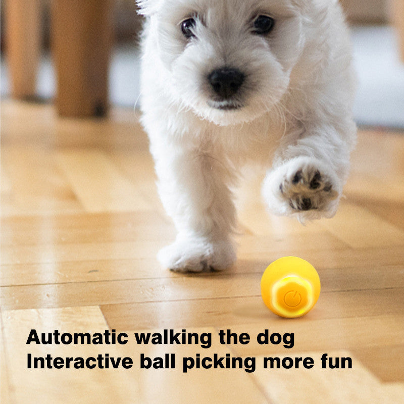 Electric Dog Ball Toys Automatic Rolling