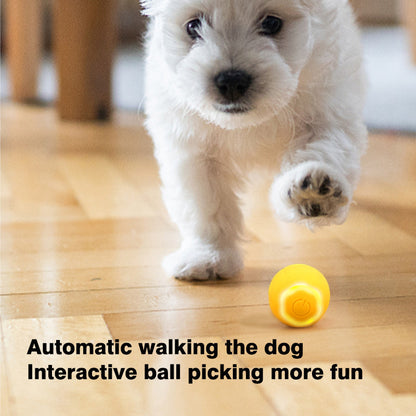 Electric Dog Ball Toys Automatic Rolling