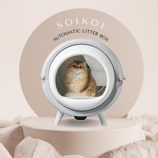 SOIKOI Automatic Cat Litter With App Control