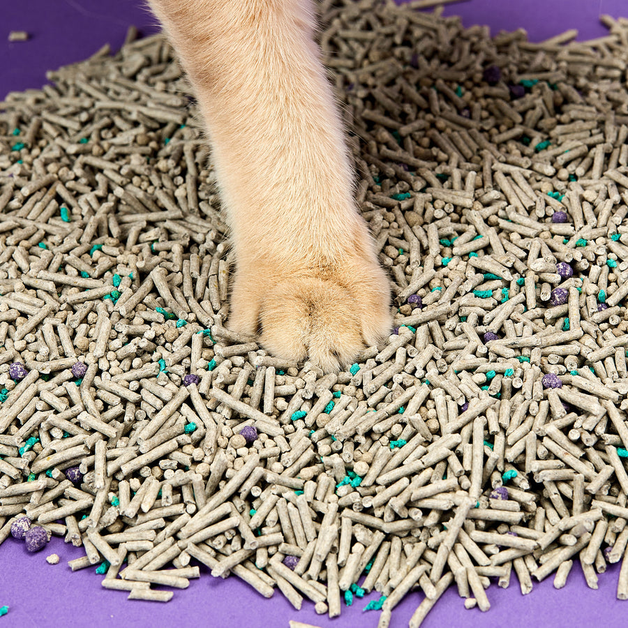 Petkit Everclean Flushable Cat Litters